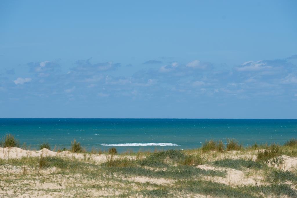 Ferret Vigne - Villa Chambres D'Hotes Lège-Cap-Ferret Kültér fotó
