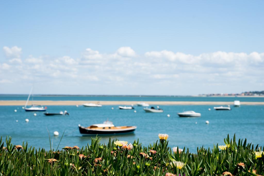 Ferret Vigne - Villa Chambres D'Hotes Lège-Cap-Ferret Kültér fotó