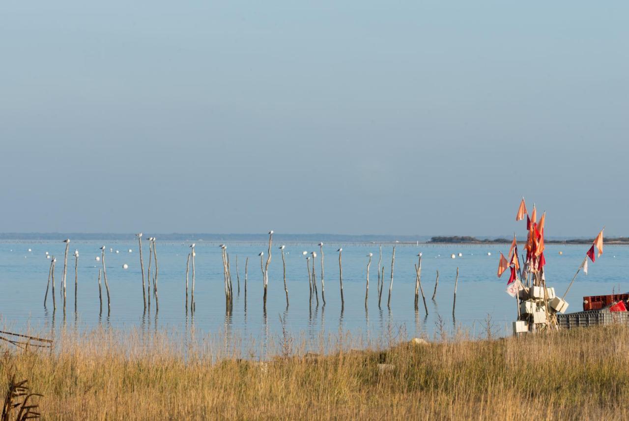 Ferret Vigne - Villa Chambres D'Hotes Lège-Cap-Ferret Kültér fotó